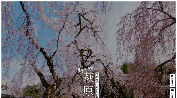 hgwt.jp