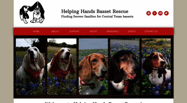 hhbassetrescue.org