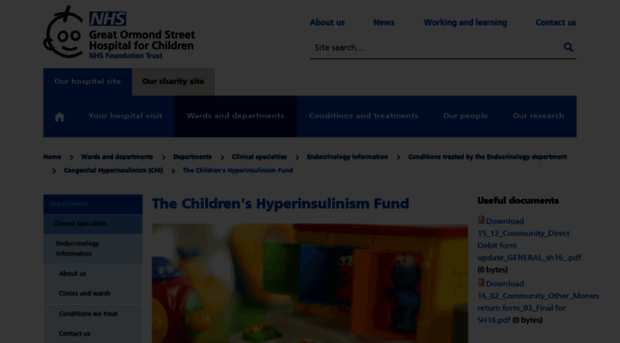 hi-fund.org