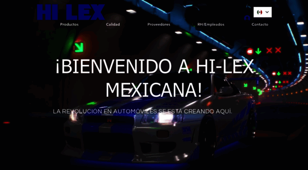 hi-lex.com.mx