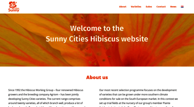 hibiscus-sunnycities.nl