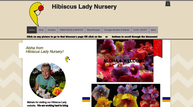 hibiscusladyhawaii.com