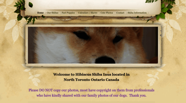 hibiscusshibainus.weebly.com