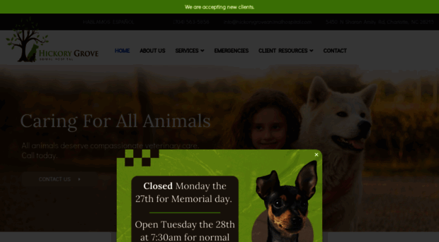 hickorygroveanimalhospital.com
