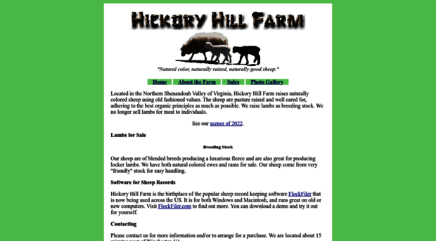 hickoryhillfarmsheep.com