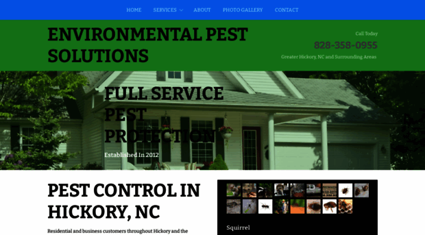 hickoryncpestexterminator.com