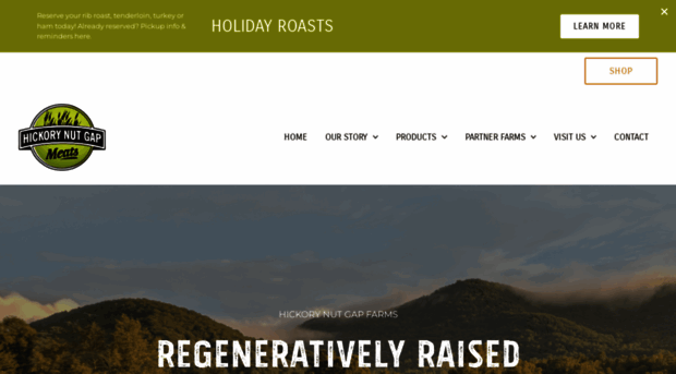 hickorynutgap.com