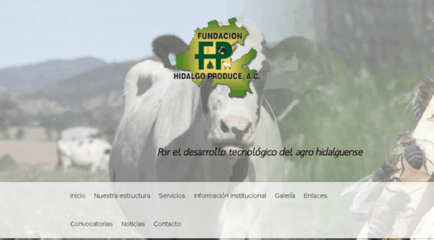 hidalgoproduce.org.mx