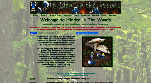 hiddeninthewoods.com