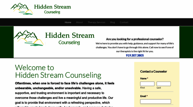 hiddenstreamcounseling.com
