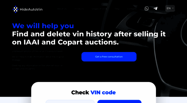 hideautovin.com