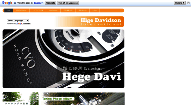 hige-davidson.com