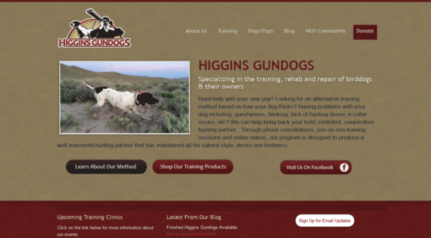 higginsgundogs.com