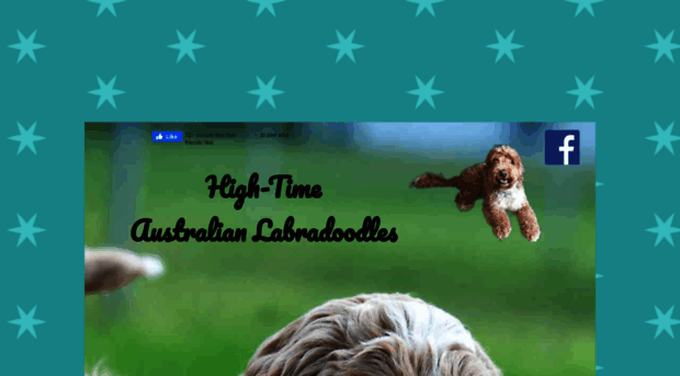 high-timeaustralianlabradoodles.com