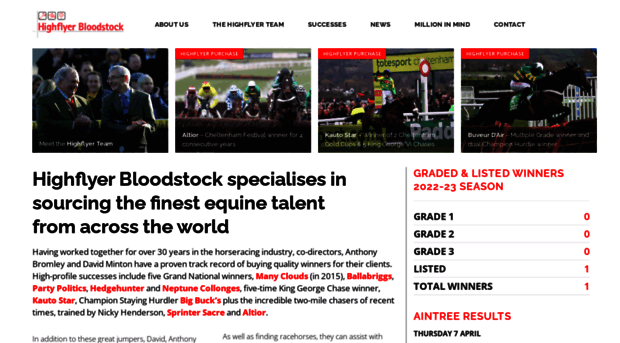 highflyerbloodstock.com