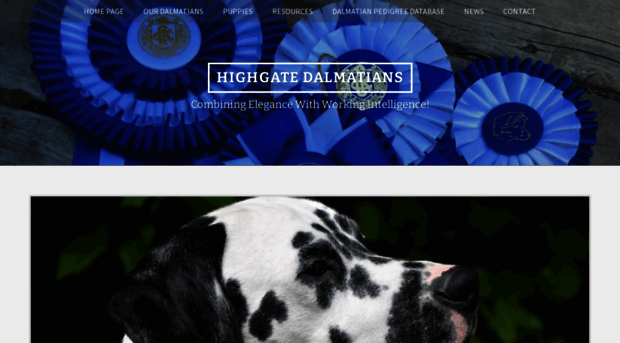 highgate-dalmatians.com