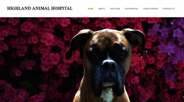 highlandanimalhospital.net