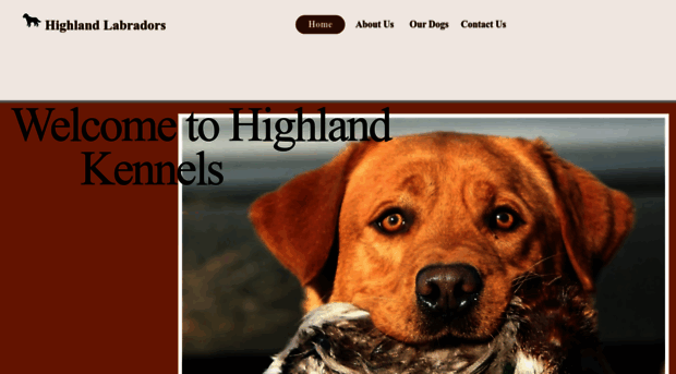 highlandlabradors.net