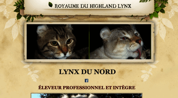 highlandlynxdunord.com