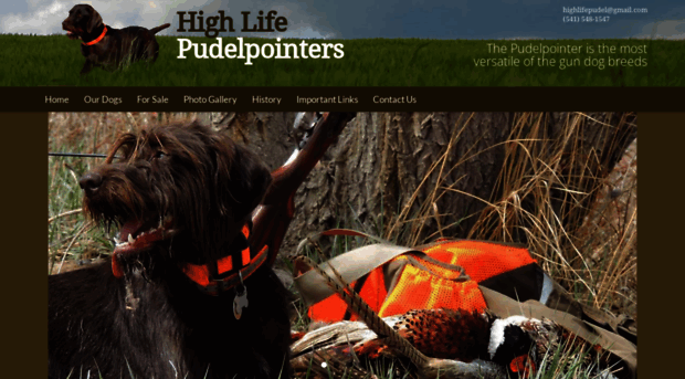 highlifepudelpointers.com