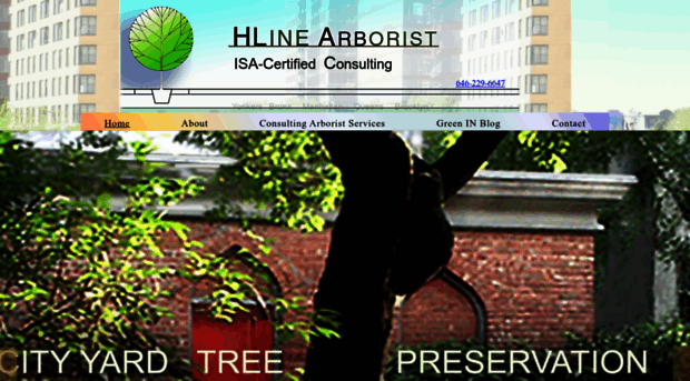 highlinearborist.com