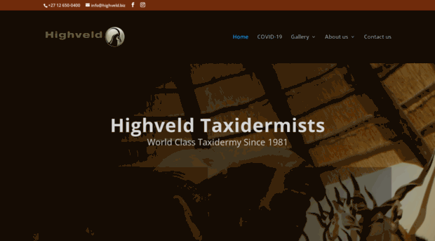 highveldtaxidermists.com