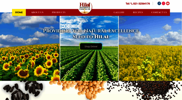 hilaloil.com