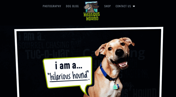 hilarioushound.com