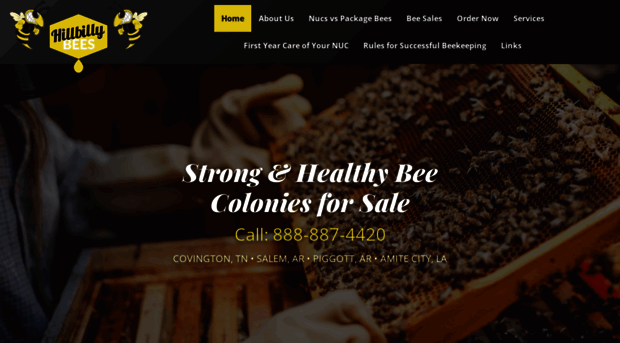 hillbillybees.com
