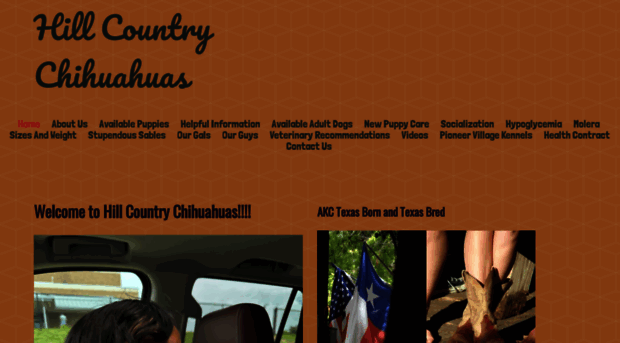 hillcountrychihuahuas.com