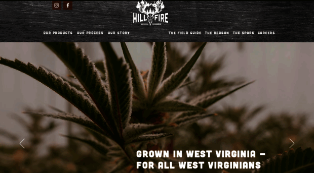 hillfire.com