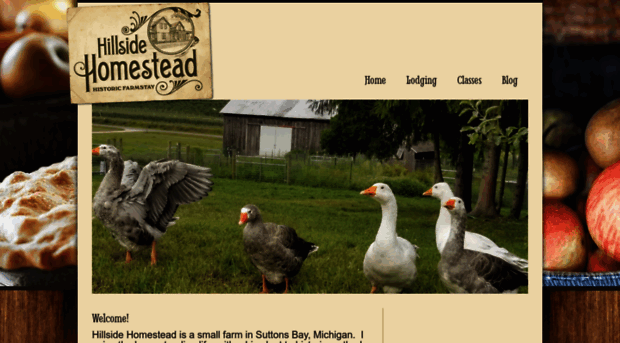 hillsidehomestead.com