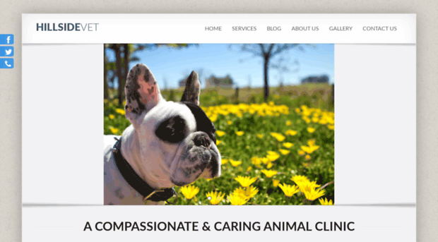 hillsidevetclinic.co.za