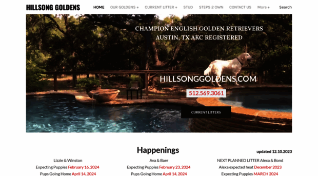 hillsonggoldens.com