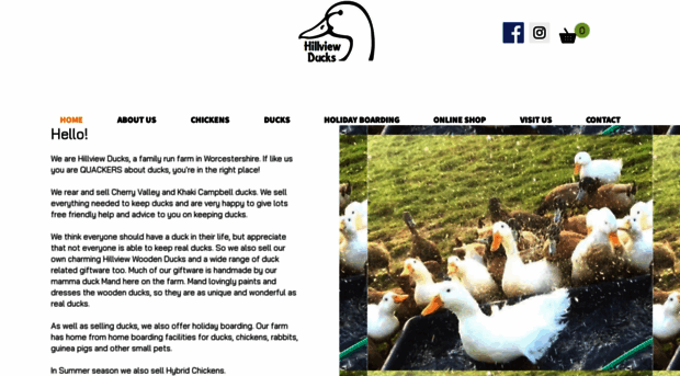 hillviewducks.co.uk