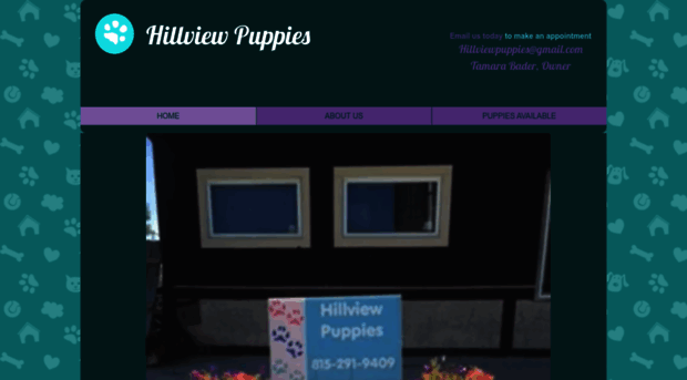 hillviewpuppies.com