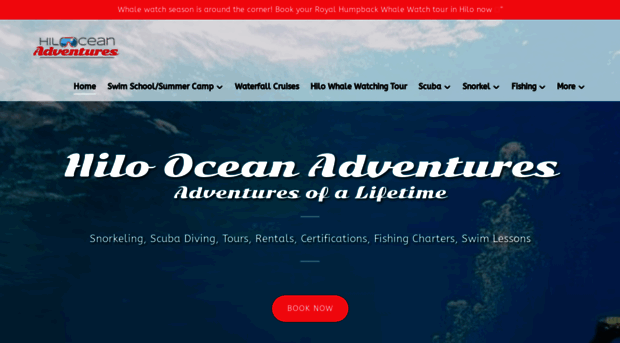 hilooceanadventures.com