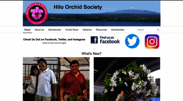 hiloorchidsociety.org