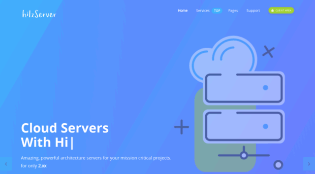 hilzserver.com