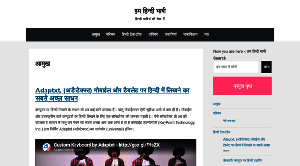 hindibhashi.com