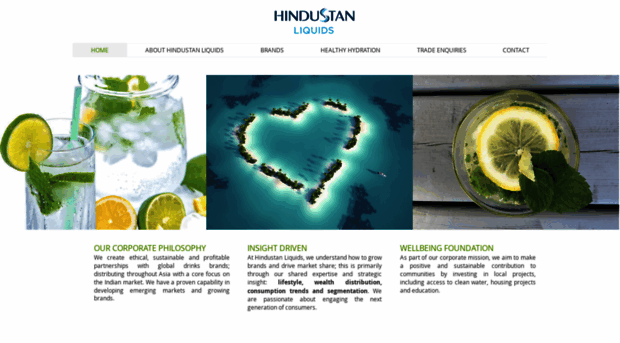 hindustan-liquids.com