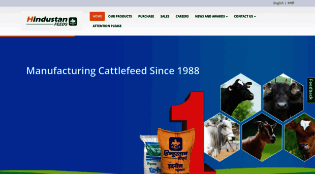 hindustanfeeds.com