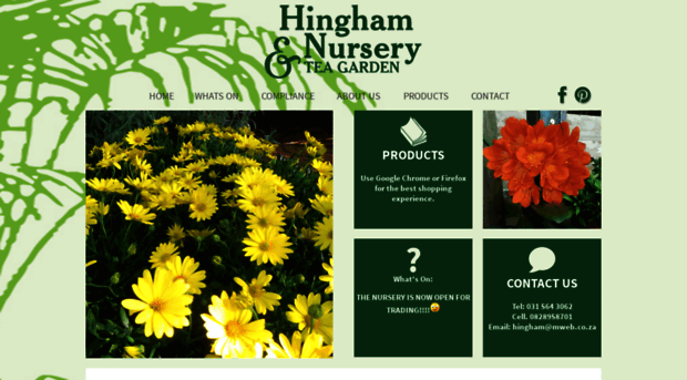 hinghamnursery.co.za