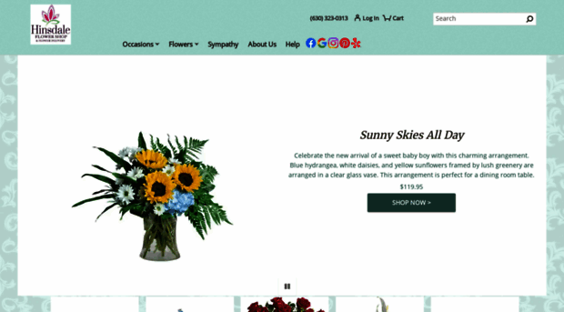 hinsdaleflowershop.com