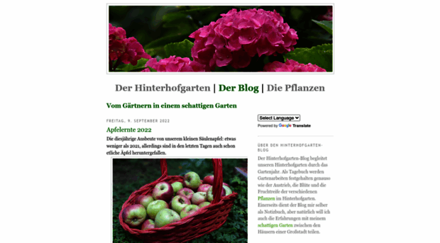 hinterhofgarten.blogspot.com