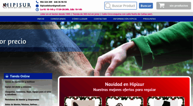 hipicadelsur.com