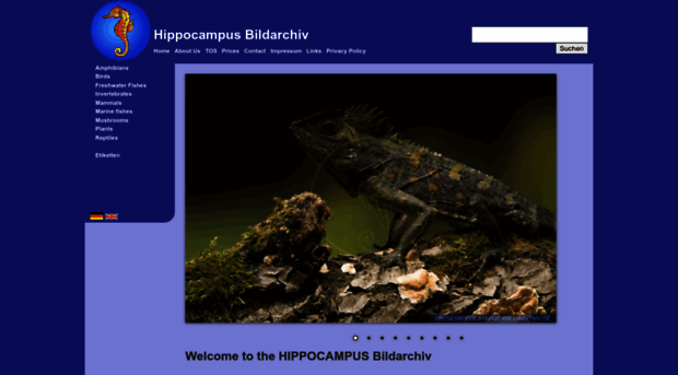 hippocampus-bildarchiv.de