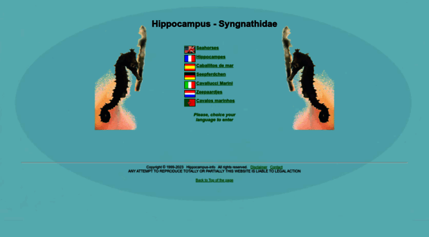 hippocampus-info.com