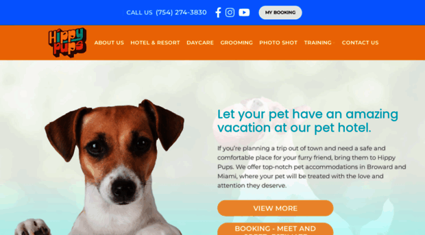 hippypups.com