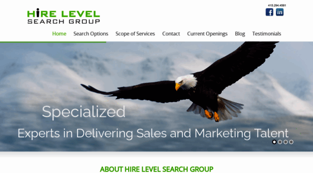 hirelevelsearch.com